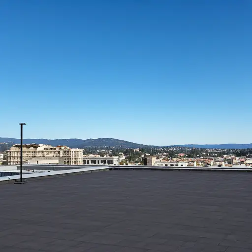 Rooftop View